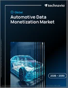 表紙：自動車データマネタイズの世界市場 2026年～2030年