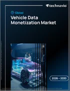 表紙：車両データの収益化の世界市場 2026年～2030年