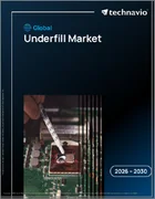 表紙：アンダーフィルの世界市場 2026年～2030年