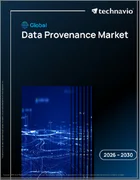 表紙：データ出所の世界市場 2026年～2030年