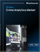 表紙：犯罪分析の世界市場 2026年～2030年