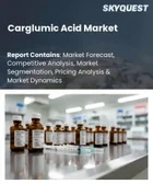 表紙：カルグルミン酸市場の規模、シェア、および成長分析：製剤タイプ別、適応症別、流通チャネル別、地域別―2026年～2033年の業界予測