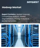 表紙：Hadoop市場の規模、シェア、および成長分析：コンポーネント別、展開別、企業規模別、最終用途産業別、用途別、地域別―2026年～2033年の業界予測