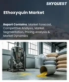 表紙：エトキシキンの市場規模、シェア、および成長分析：製品形態別、主要用途別、販売チャネル別、流通チャネル別、地域別―2026年～2033年の業界予測