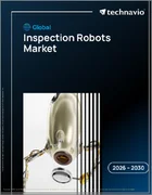 表紙：検査ロボットの世界市場 2026年～2030年