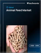 表紙：動物飼料の世界市場 2026年～2030年