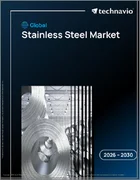 表紙：ステンレス鋼の世界市場 2026年～2030年