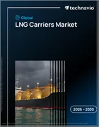 表紙：LNG運搬船の世界市場 2026年～2030年