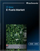 表紙：E燃料の世界市場 2026年～2030年