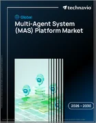 表紙：マルチエージェントシステム（MAS）プラットフォームの世界市場 2026年～2030年