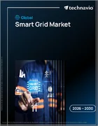 表紙：スマートグリッドの世界市場 2026年～2030年