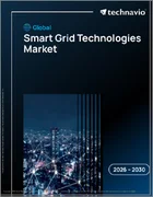 表紙：スマートグリッド技術の世界市場 2026年～2030年