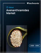 表紙：アベナンスラミドの世界市場 2026年～2030年