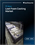 表紙：ロストフォーム鋳造の世界市場 2026年～2030年