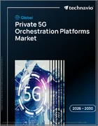 表紙：プライベート5Gオーケストレーションプラットフォームの世界市場 2026年～2030年