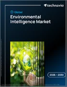 表紙：環境インテリジェンスの世界市場 2026年～2030年