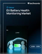 表紙：電気自動車用バッテリーのヘルスモニタリングの世界市場 2026年～2030年