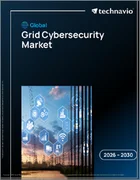 表紙：グリッドサイバーセキュリティの世界市場 2026年～2030年