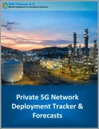 表紙：プライベート5Gネットワークの展開：追跡調査・予測 (2026年～2030年)