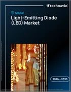 表紙：発光ダイオード（LED）の世界市場 2026年～2030年