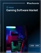 表紙：ゲームソフトウェアの世界市場 2026年～2030年