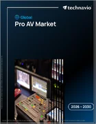 表紙：Pro AVの世界市場 2026年～2030年