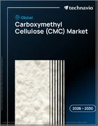 表紙：カルボキシメチルセルロース（CMC）の世界市場 2026年～2030年