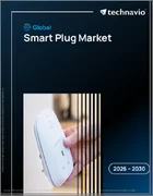 表紙：スマートプラグの世界市場 2026年～2030年