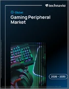 表紙：ゲーム周辺機器の世界市場 2026年～2030年