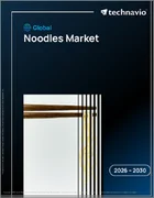 表紙：ヌードルの世界市場 2026年～2030年