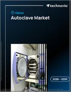表紙：オートクレーブの世界市場 2026年～2030年
