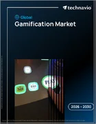 表紙：ゲーム化の世界市場 2026年～2030年