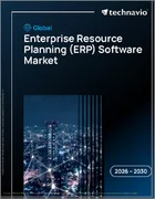 表紙：エンタープライズリソースプランニング（ERP）ソフトウェアの世界市場 2026年～2030年