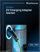 表紙：EV充電アダプターの世界市場 2026年～2030年