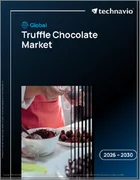 表紙：トリュフチョコレートの世界市場 2026年～2030年