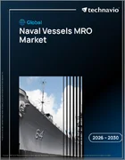表紙：海軍艦艇MRO市場2026年～2030年