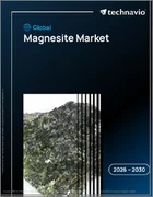 表紙：マグネサイトの世界市場 2026年～2030年