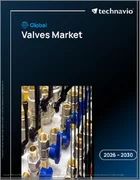 表紙：バルブの世界市場 2026年～2030年