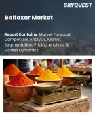 表紙：バルファクサーの市場規模、シェア、および成長分析：適応症別、エンドユーザー別、患者タイプ別、処置タイプ別、流通チャネル別、医療施設別、地域別―2026年～2033年の業界予測