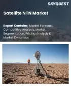表紙：衛星非地上ネットワーク（NTN）市場の規模、シェア、および成長分析：軌道タイプ別、サービスタイプ別、技術別、エンドユーザー別、地域別―2026年～2033年の業界予測