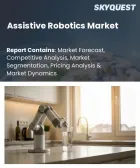 表紙：支援ロボット市場の規模、シェア、および成長分析：ロボットタイプ別、用途別、エンドユーザー別、移動能力別、動作モード別、販売チャネル別、地域別―2026年～2033年の業界予測