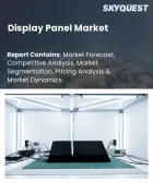 表紙：ディスプレイパネル市場の規模、シェア、および成長分析：ディスプレイ技術別、パネルサイズ別、用途別、解像度別、エンドユーザー別、パネルタイプ別、地域別―2026年～2033年の業界予測