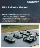 表紙：UAVアビオニクス市場の規模、シェア、および成長分析：コアシステムコンポーネント別、翼構成タイプ別、最終用途産業別、流通チャネル別、地域別―2026年～2033年の業界予測