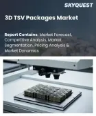 表紙：3D TSVパッケージ市場の規模、シェア、および成長分析：パッケージタイプ別、ウエハータイプ別、用途別、エンドユーザー別、技術別、積層タイプ別、地域別―2026年～2033年の業界予測