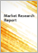 表紙：アルミホイルの世界市場（2021年～2025年）