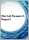 表紙：CRMの世界市場（2021年～2025年）