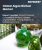 藻類バイオ燃料の市場規模・シェア・成長分析 (種類別、用途別、地域別)：産業予測 (2026～2033年)
