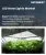 LED植物育成用照明の市場規模、シェア、および成長分析：設置タイプ別、スペクトルタイプ別、ワット数別、技術別、流通チャネル別、用途別、地域別―2026年～2033年の業界予測