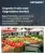 有機果物・野菜市場の規模、シェア、成長分析：製品タイプ別、形態別、流通チャネル別、栽培方法別、用途別、エンドユーザー別、地域別―2026年～2033年の業界予測