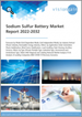 表紙：ナトリウム硫黄（NAS）電池の世界市場の予測（2022年～2032年）：モード別、業種別、用途別、タイプ別、地域別・主要国市場分析、主要企業、COVID-19の回復シナリオ